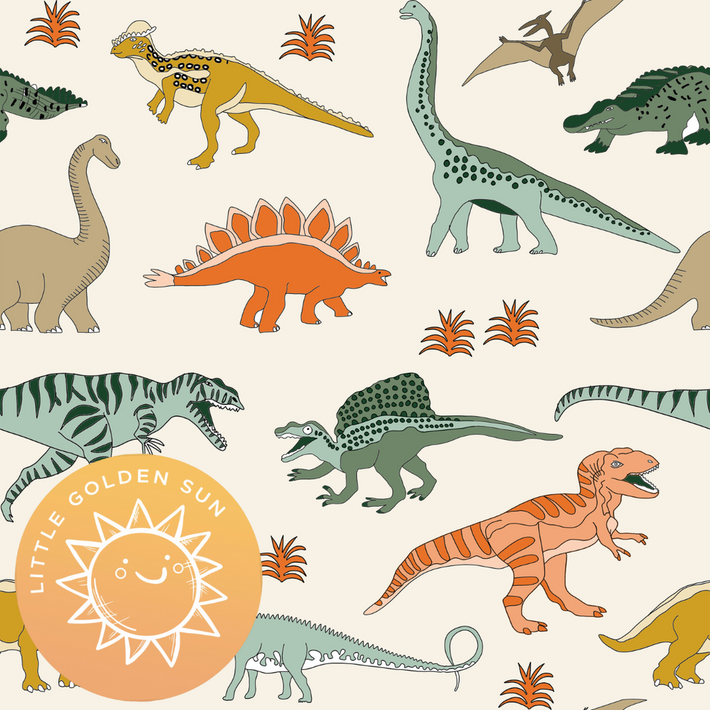 Sun Hat | Dinosaurs