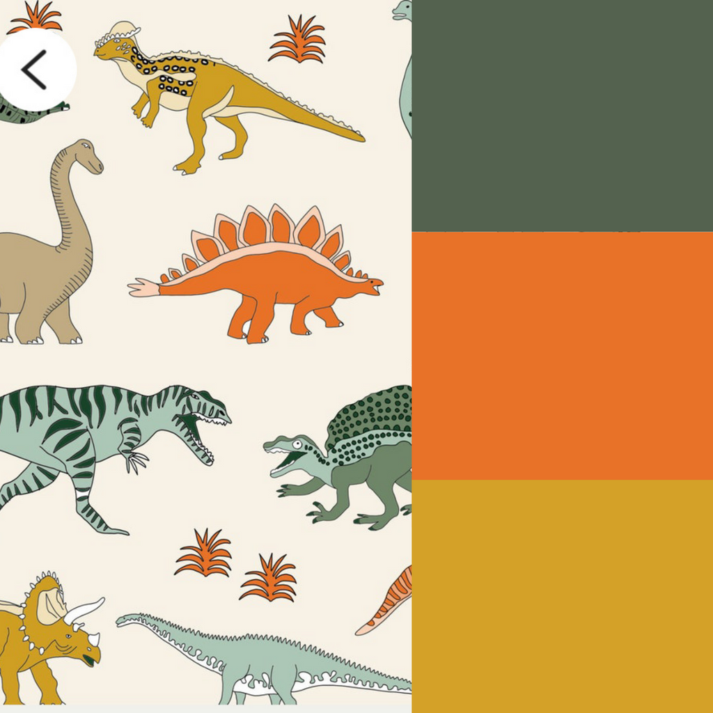 Name Towel | Dinosaurs